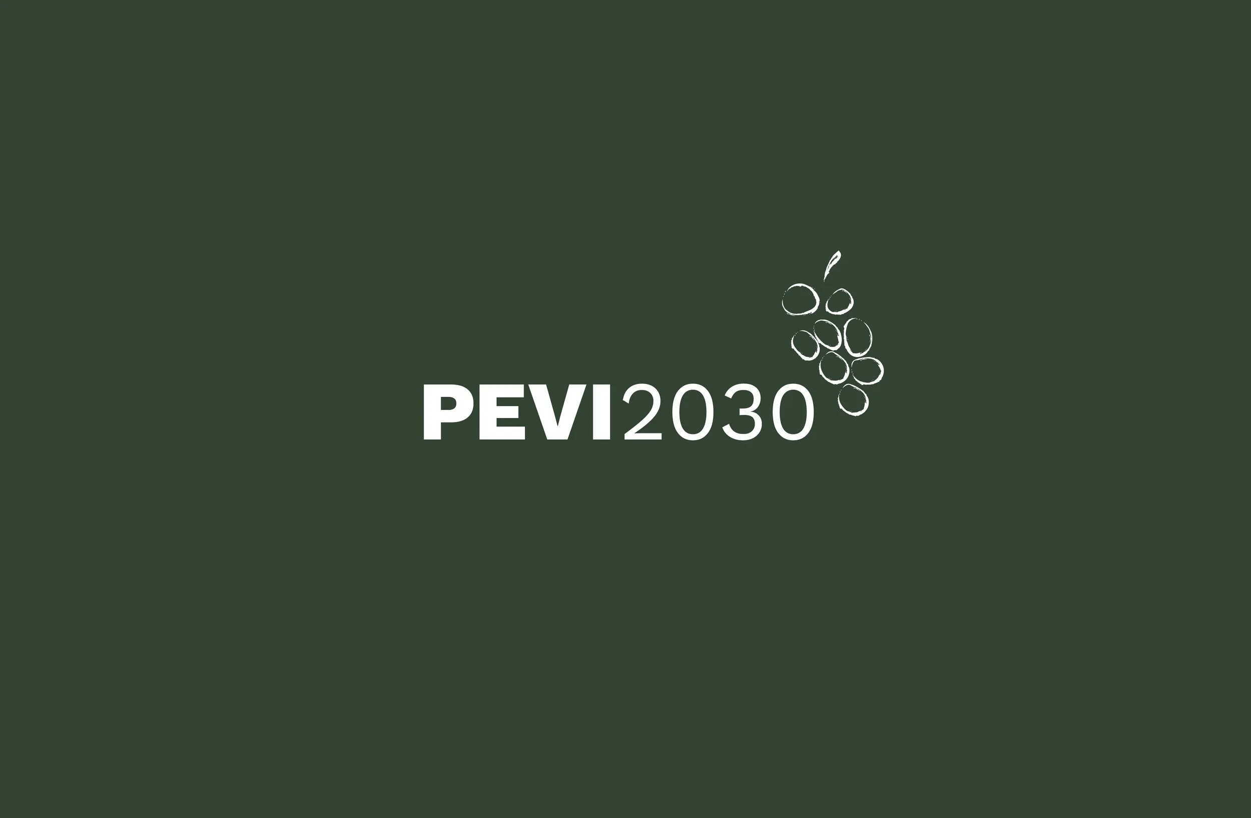 PEVI 2030 — logotipo